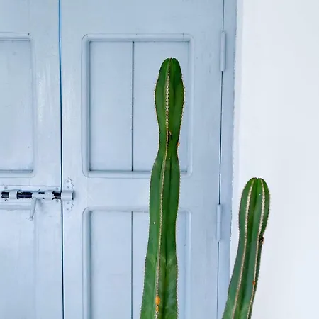 Dos Reinas Conil